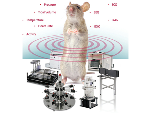 德國(guó)TSE動(dòng)物生理遙測(cè)系統(tǒng)Stellar Telemetry